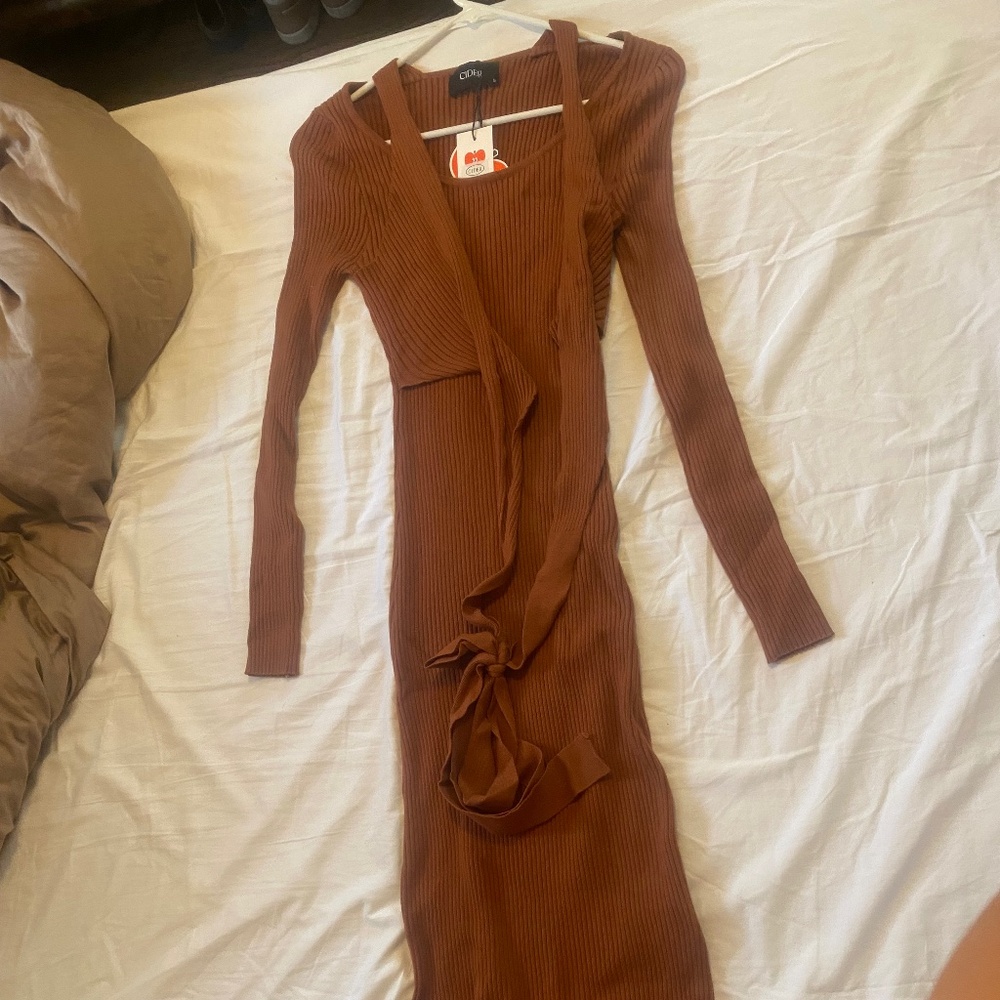 NWT cider dress